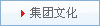 牛脂基二乙醇胺Tallowalkyl amine Ethoxylate Ether (2EO) CAS61791-26-2